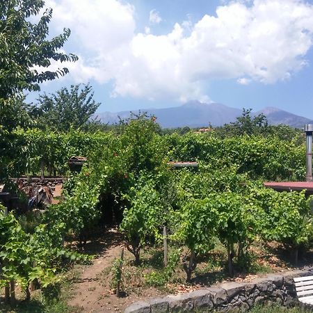 Вилла Sorbello Dell'Etna Мило Экстерьер фото